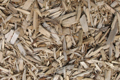 biomass boilers Dervaig